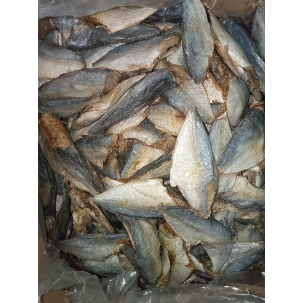 ikan asin peda buntung