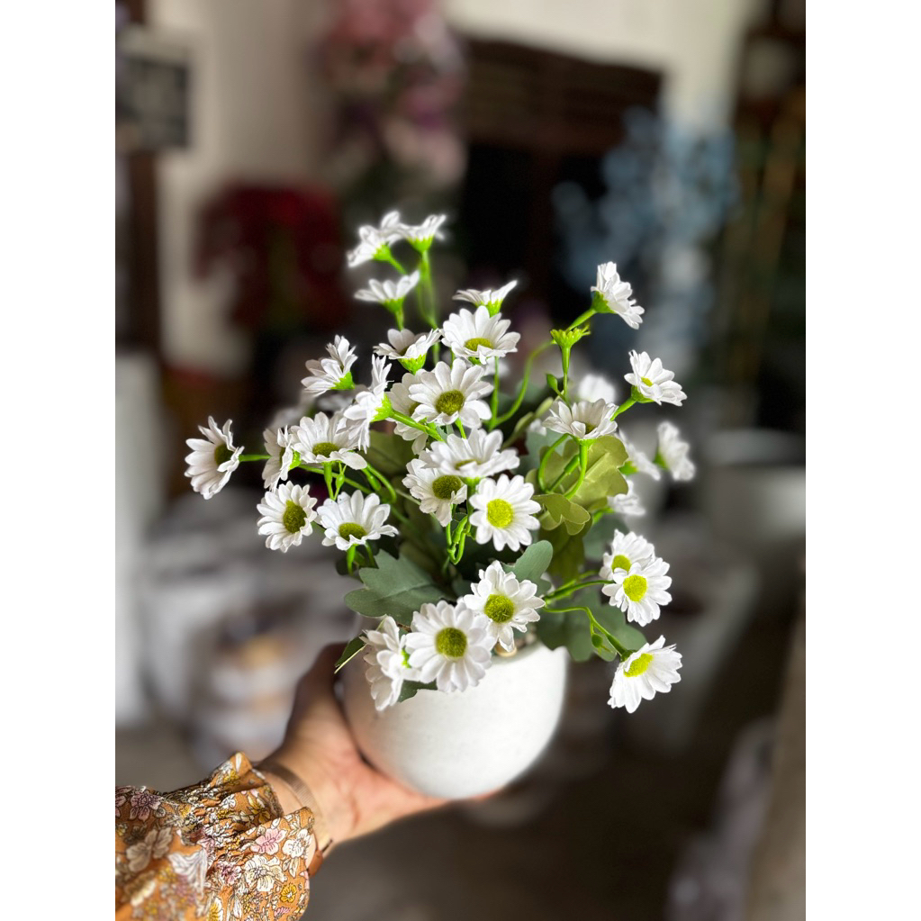 bunga meja aster mini pot keramik gerabah