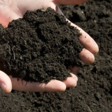 Pupuk Kompos Kohe Ayam Petelur Murni Organik