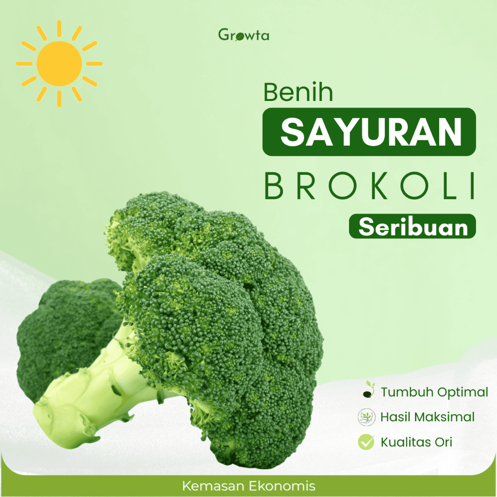 Growta - Benih Brokoli Seribuan - Cocok Untuk Hidroponik dan Tanah