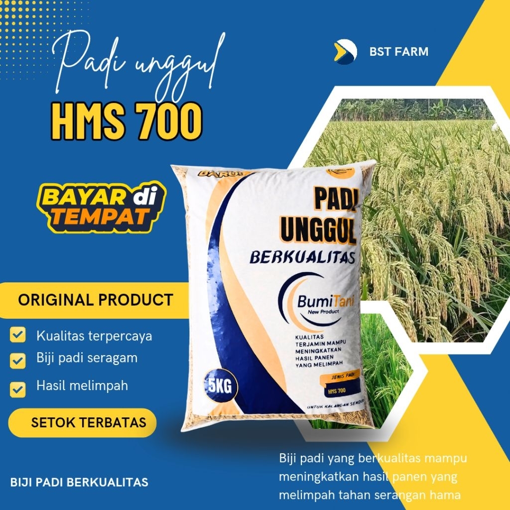 BENIH PADI BIBIT PADI HMS700 kemasan 5 kg original