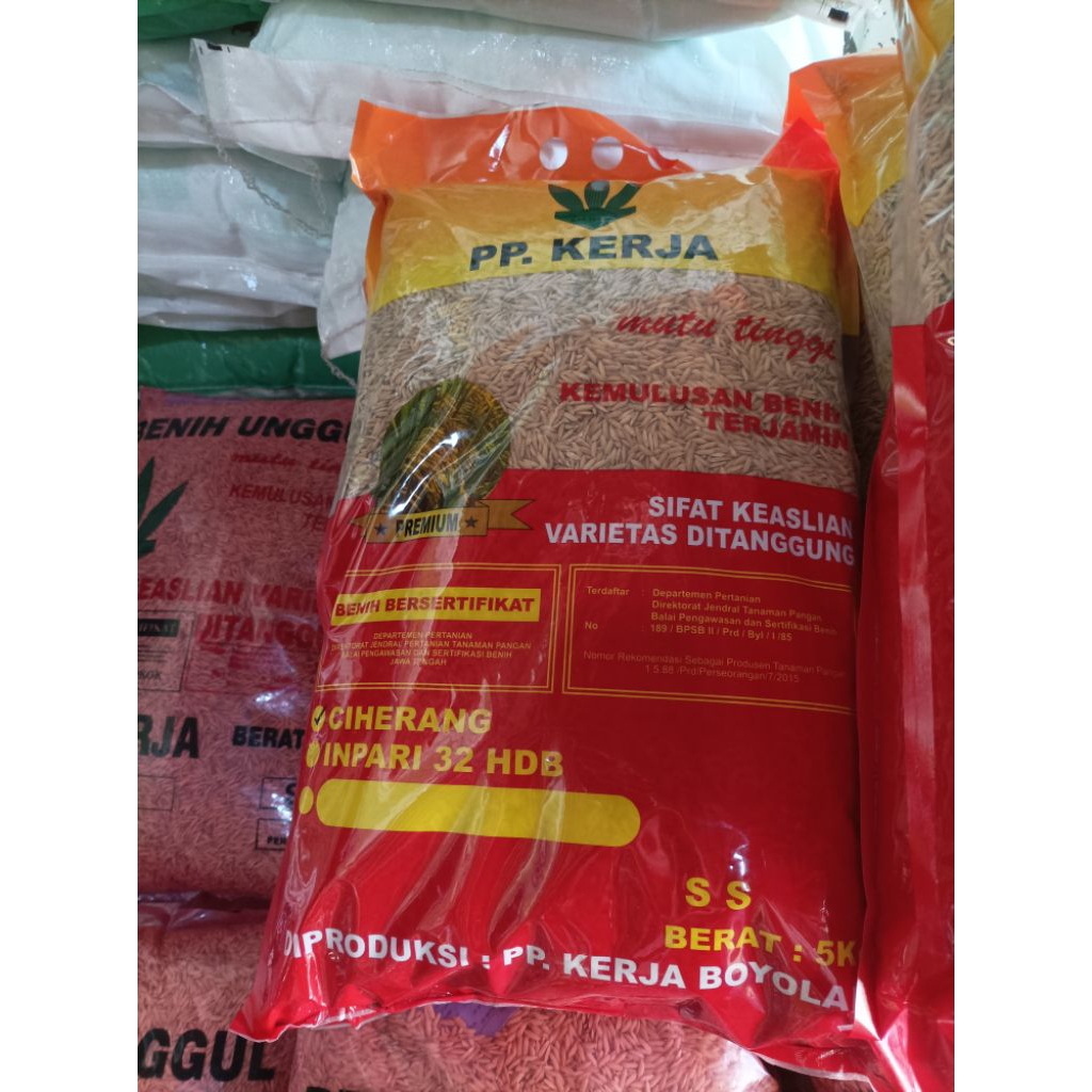 benih padi inpari 32 pp kerja boyolali premium