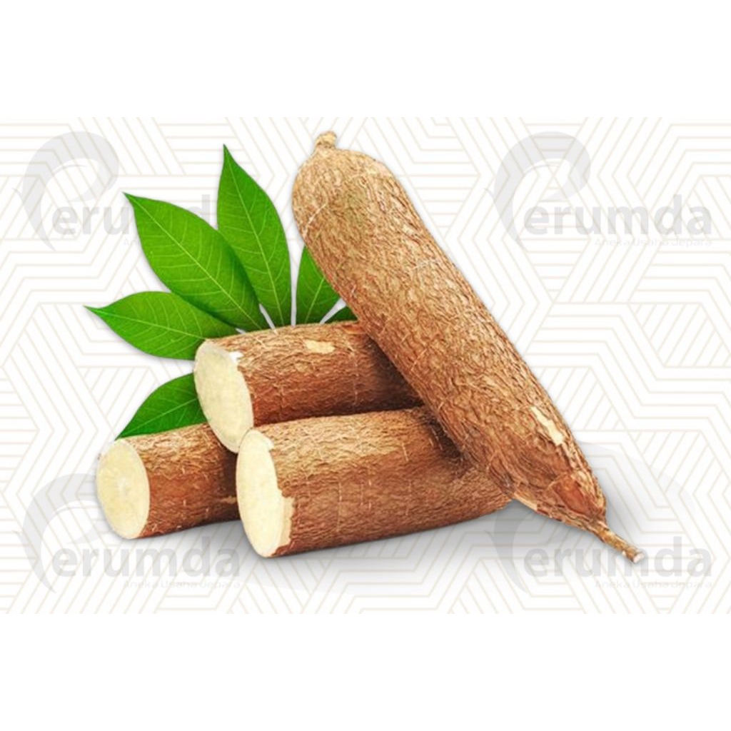 

Singkong Keju / Ketan fres Segar 1 kg