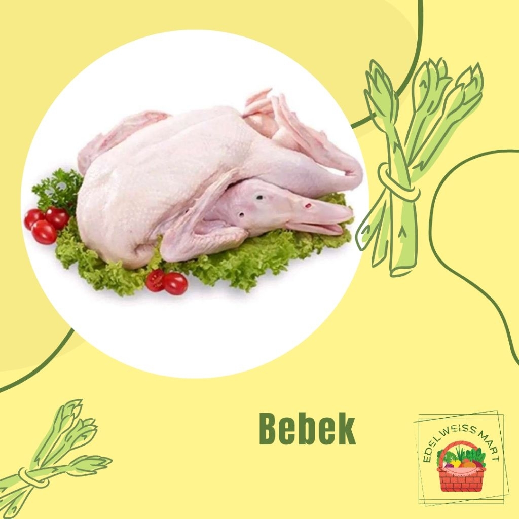 

DAGING BEBEK FROZEN 1 EKOR +-1.1kg (FRESH) - INSTANT SEMARANG