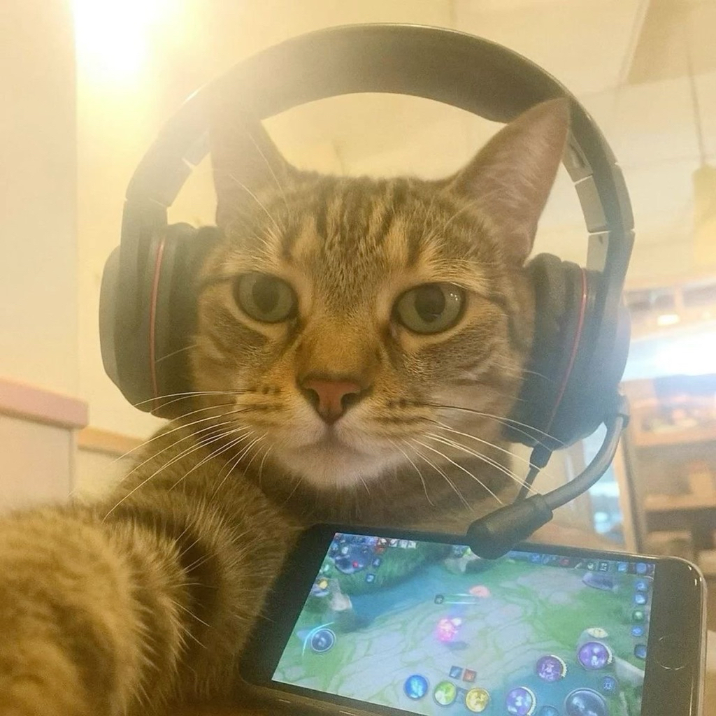 nct zone worker