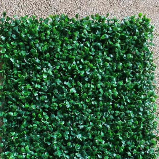 HIASAN DINDING TANAMAN SINTETIS RAMBAT - DAUN SINTETIS DOLAR - TANAMAN DOLAR SINTETIS