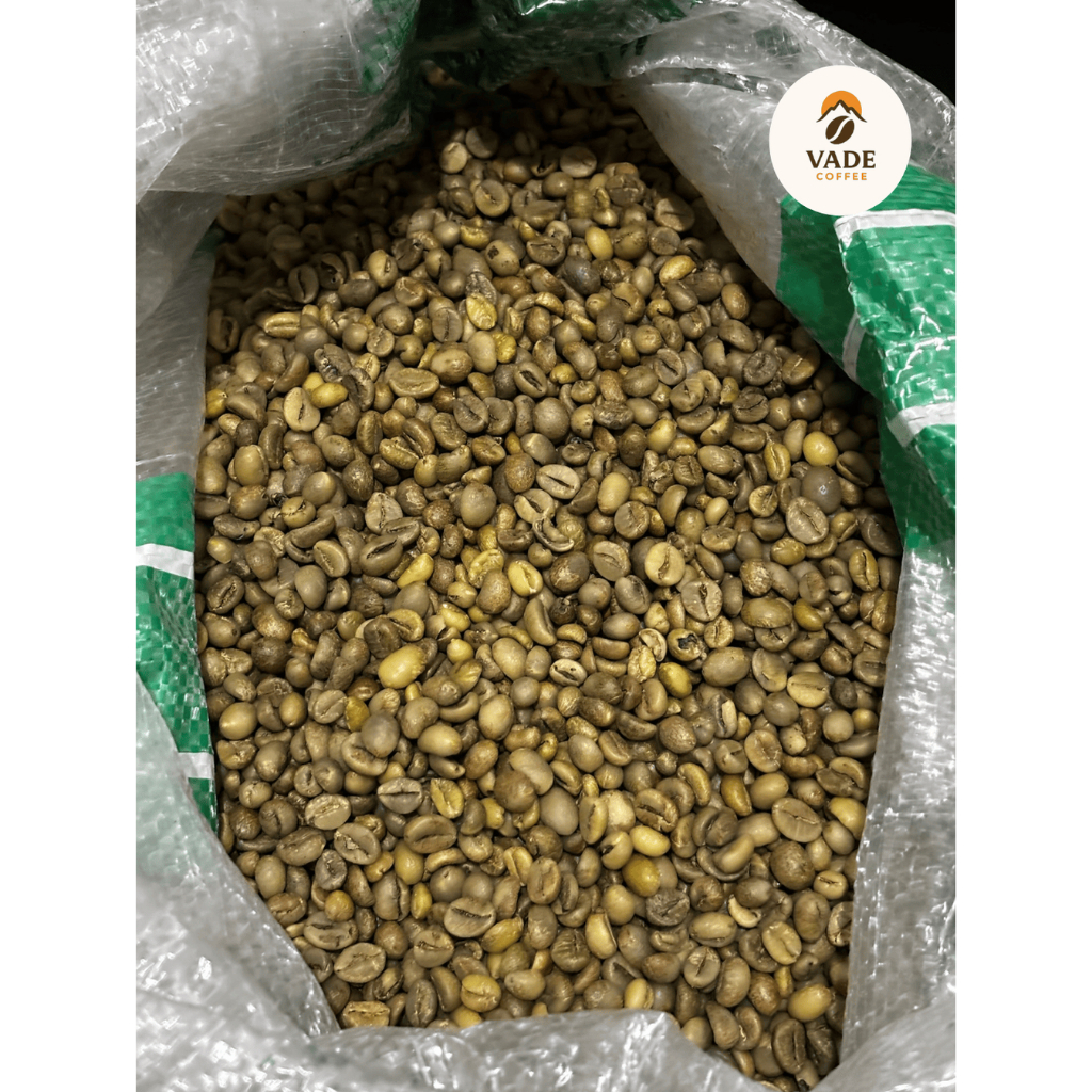 

Green Bean Robusta Grade B
