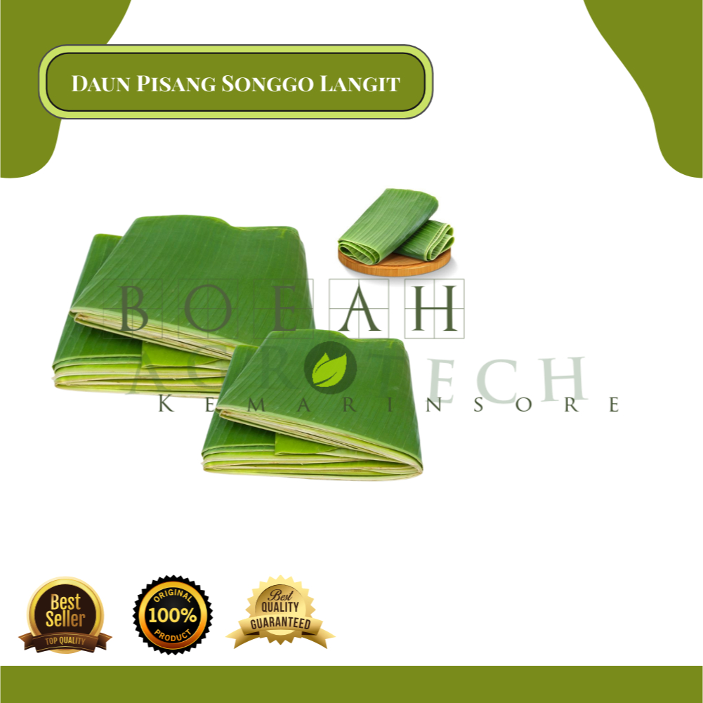

Daun Pisang Songgo Langit 1 ikat 250 gram