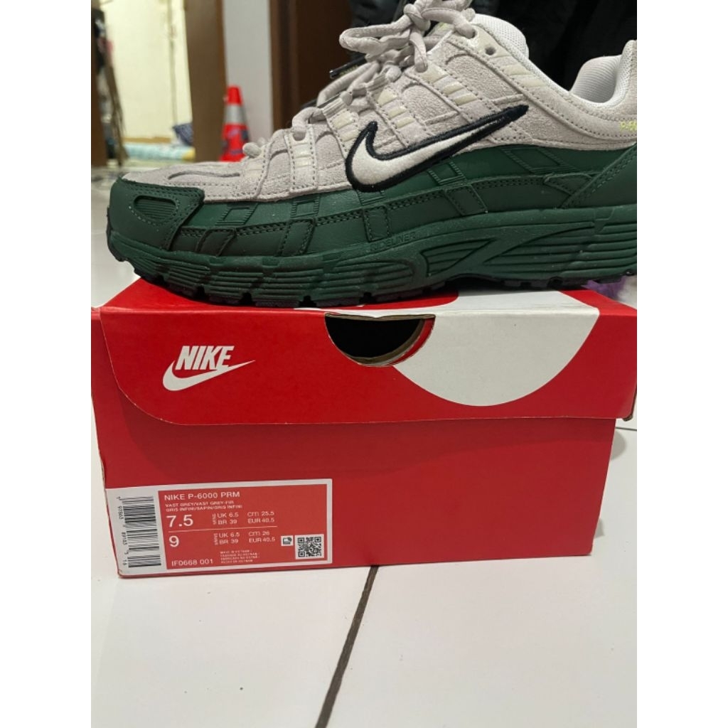 Nike P-6000