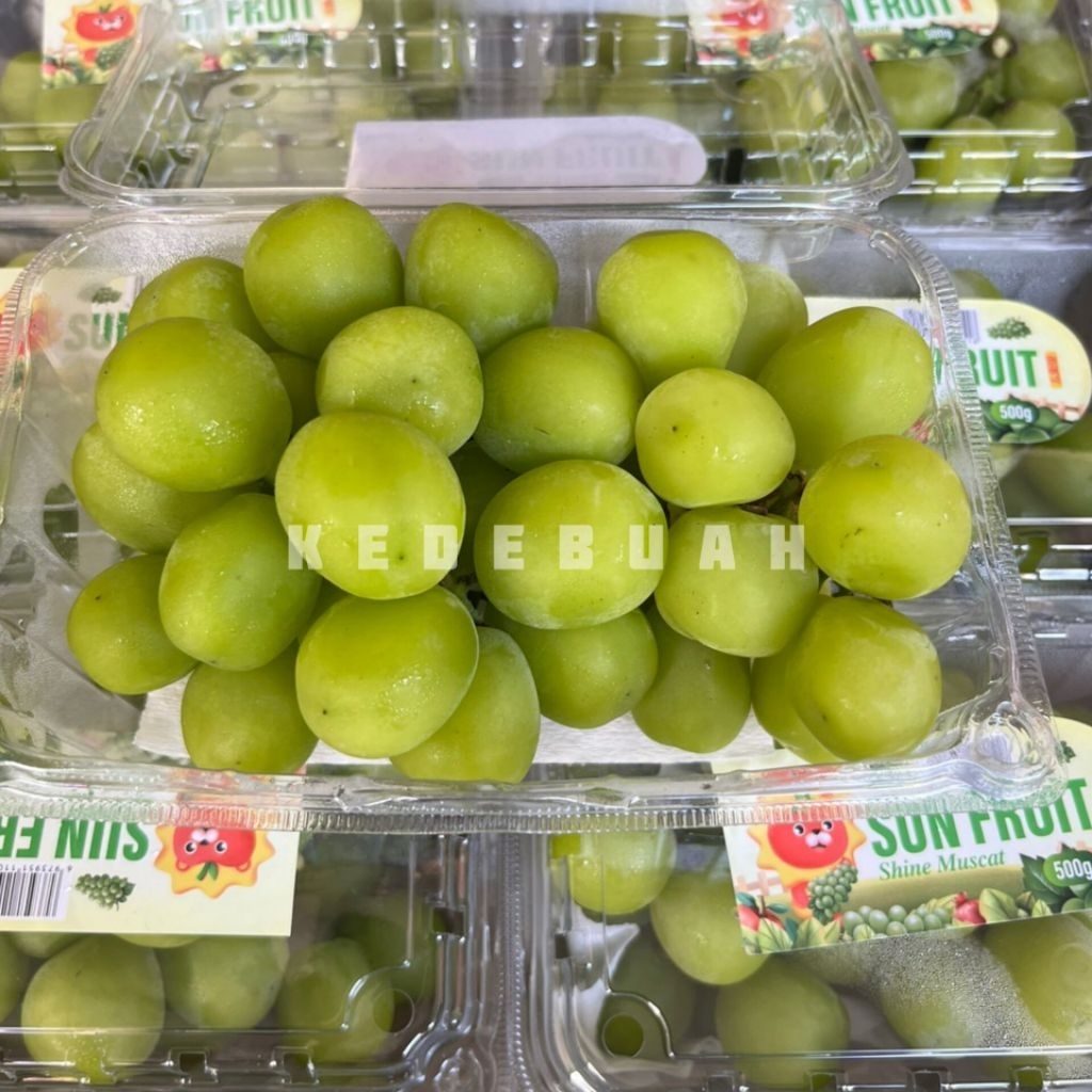 

Paket Mix Anggur Shine Muscat Green + Shine Muscat Black