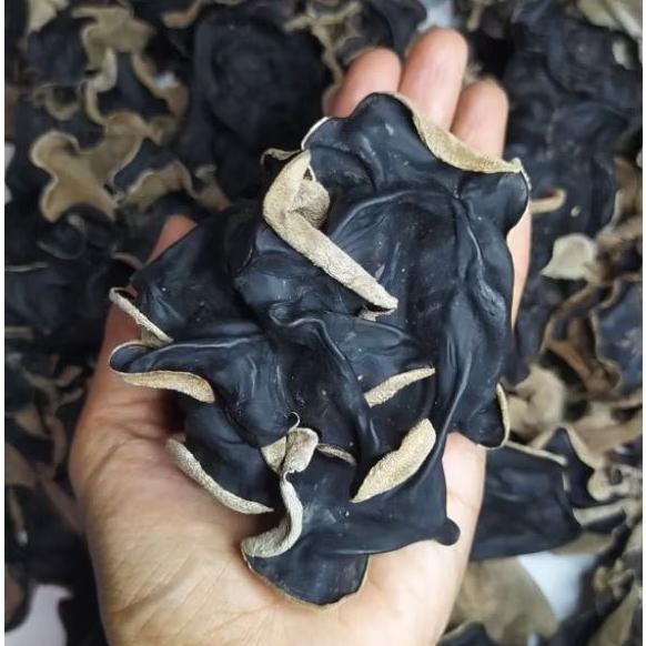 

Jamur kuping kering asli wonogiri