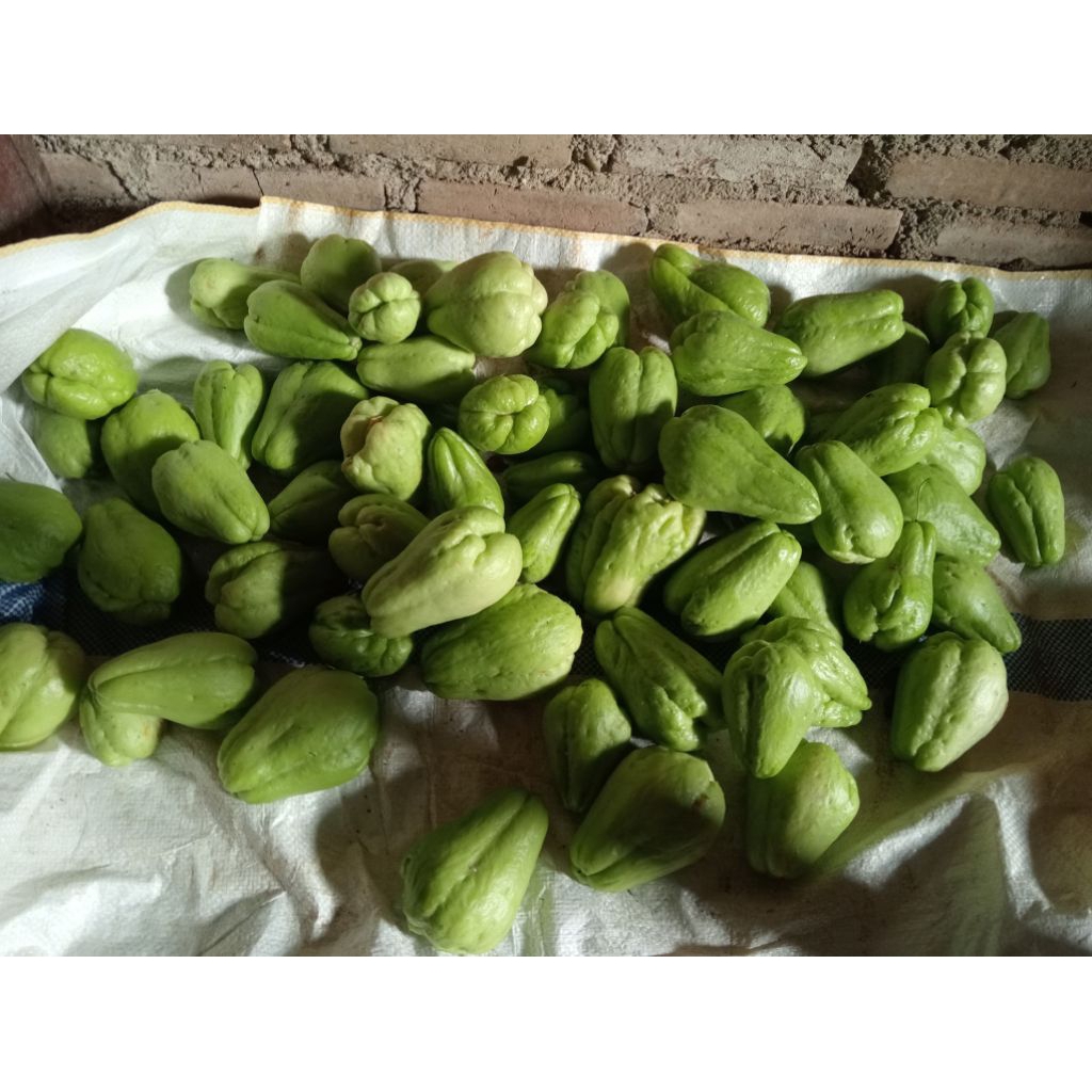 

jipang/labu siam sayur atau lalapan masih muda