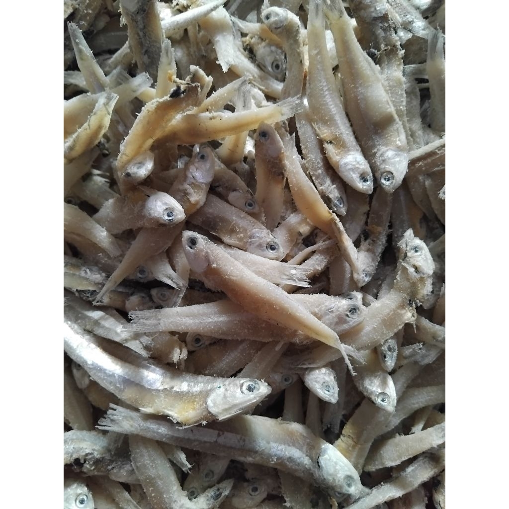 

TERI JENGKI MURAAHH 1 KILO.