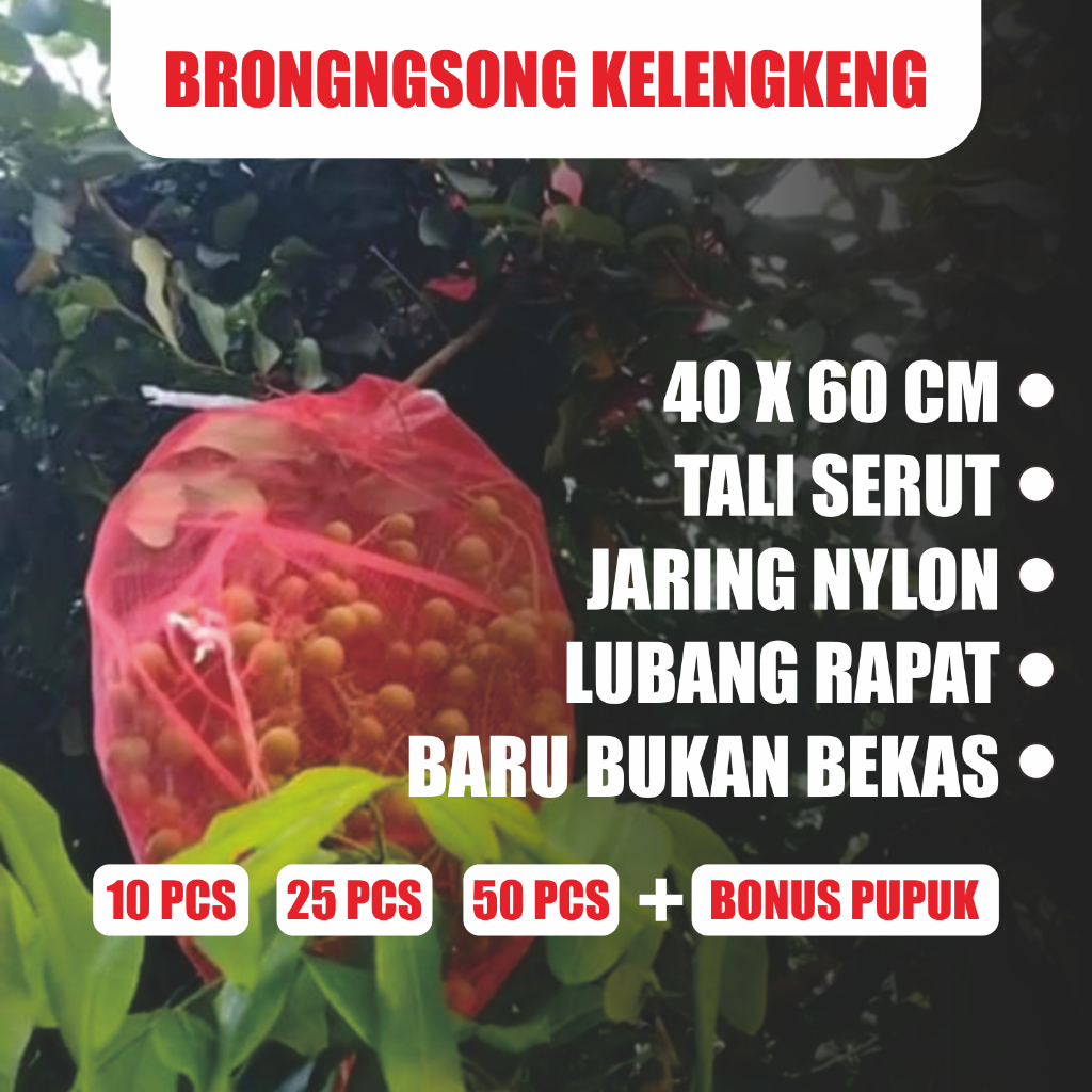 Brongsong Jaring Pembungkus Buah Kelengkeng Di Pohon Dengan Tali Serut