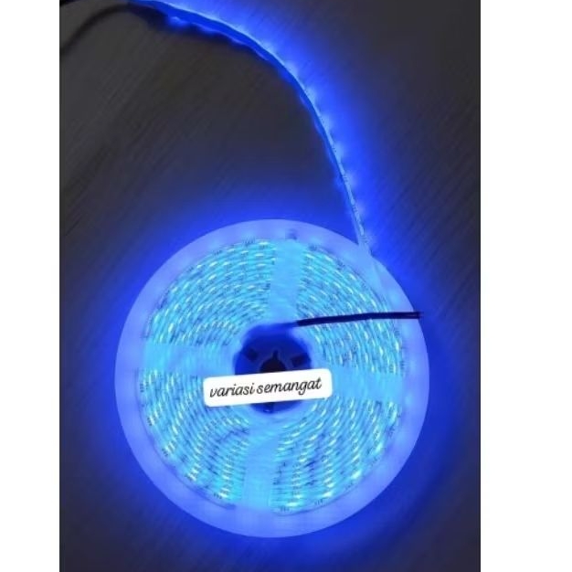 LED ROLL STRIP 5 METER LAMPU LED ROLL 5 METER 24V
