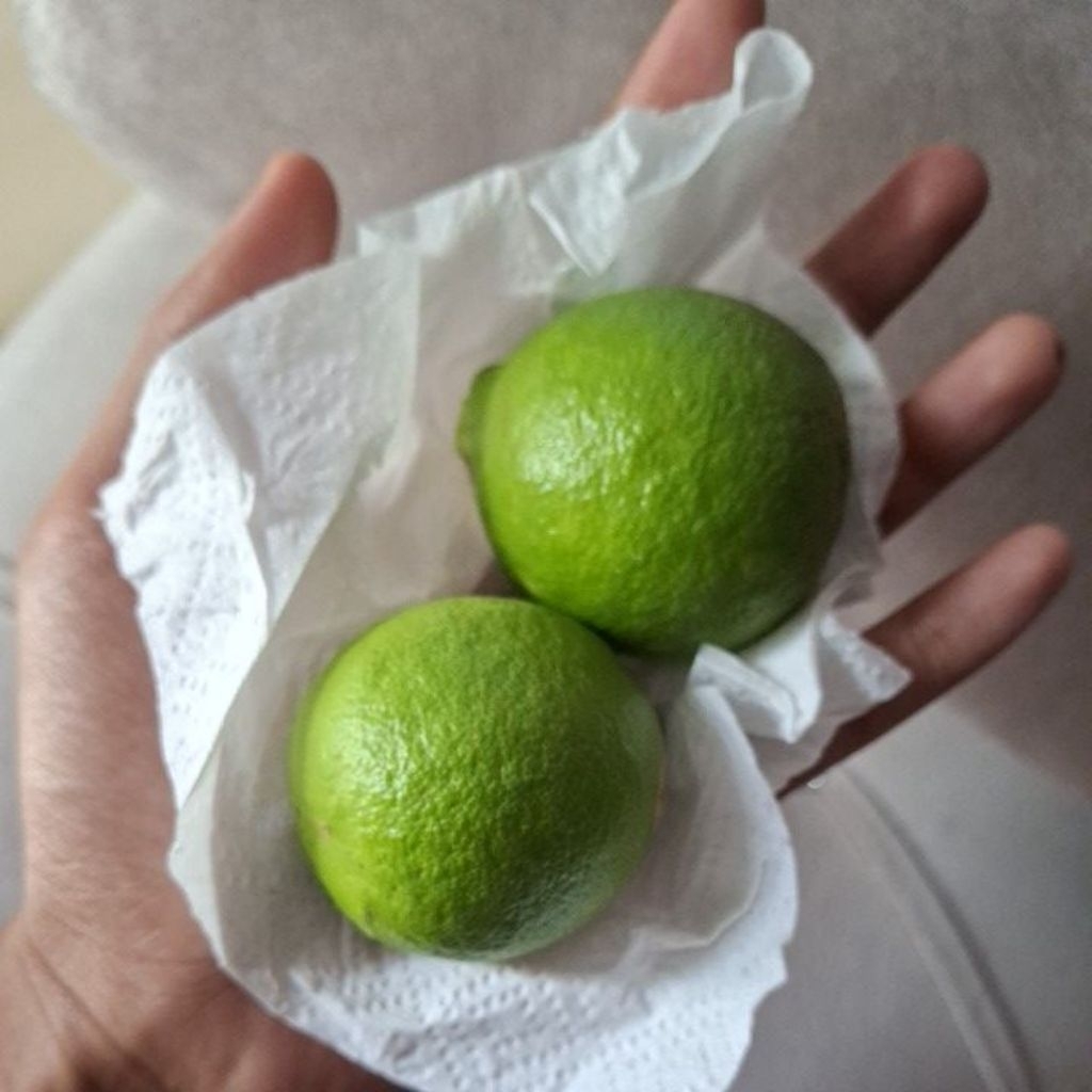 

JERUK NIPIS BARU PETIK DARI POHON MURAH