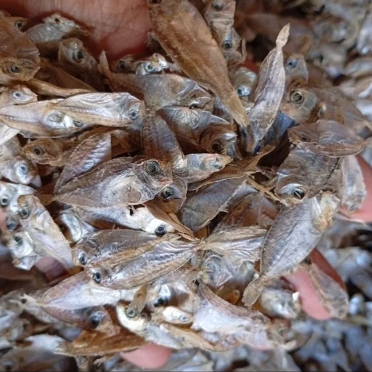 

Ikan Asin / Kering Bete-bete