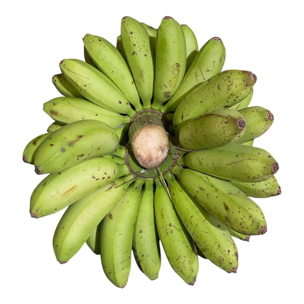 

PISANG MAS KIRIM MENTAH BERGARANSI