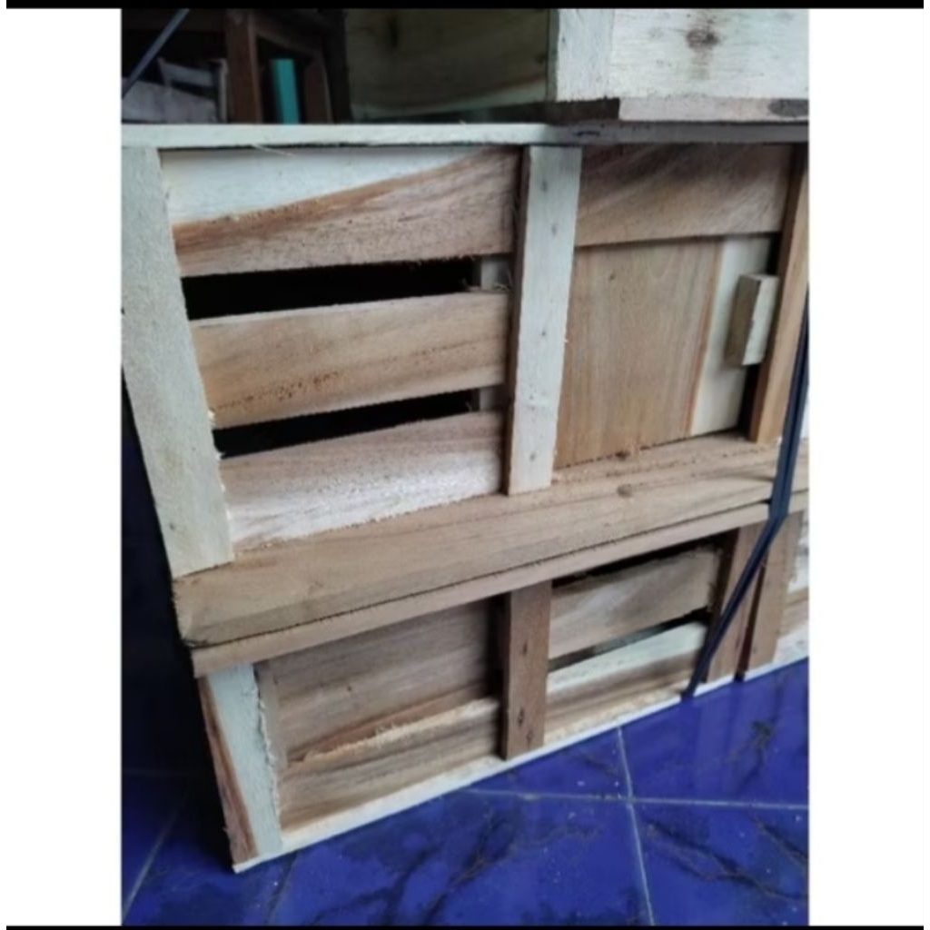 Gupon Burung Merpati Kokoh Termurah