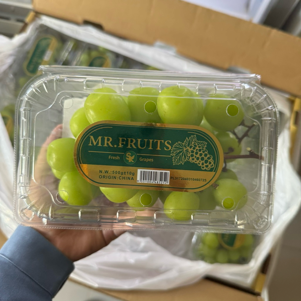 

Anggur Shine Muscat Anggur Hijau 500gr