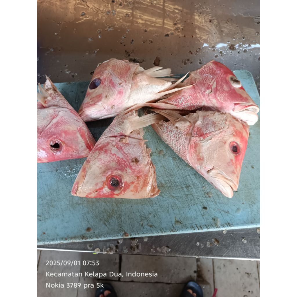 Kepala Kakap Merah 1kg