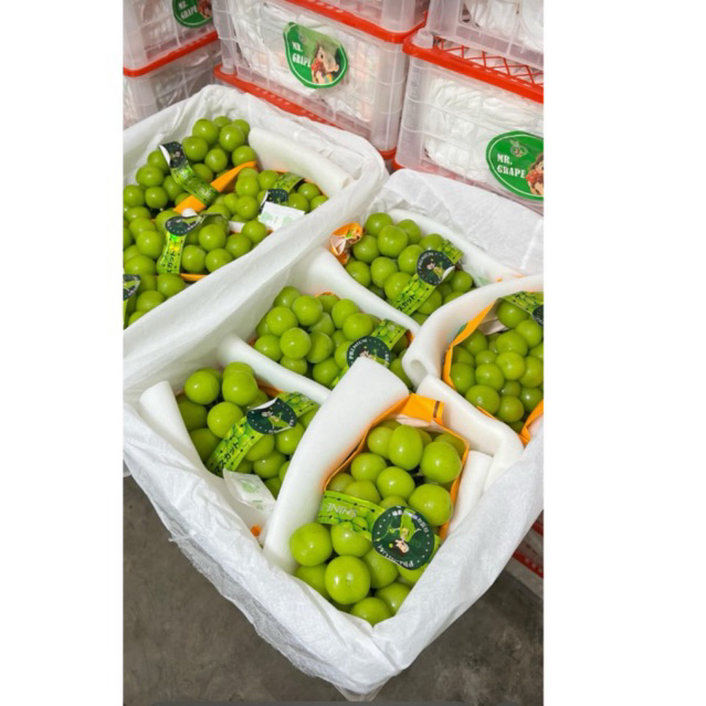 

ANGGUR SHINE MUSCAT 1 KRATT 5KG