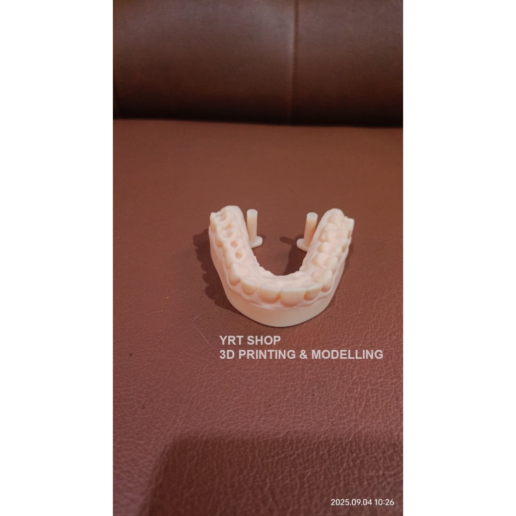 Dental Training / Model Gigi Latihan Restorasi / Model Gigi Tumpatan / Model Gigi Preparasi / Dental