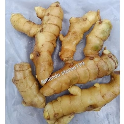 

kunyit putih segar alami . obat herbal .1000 gram. temu putih pilihaan di jamin asli...