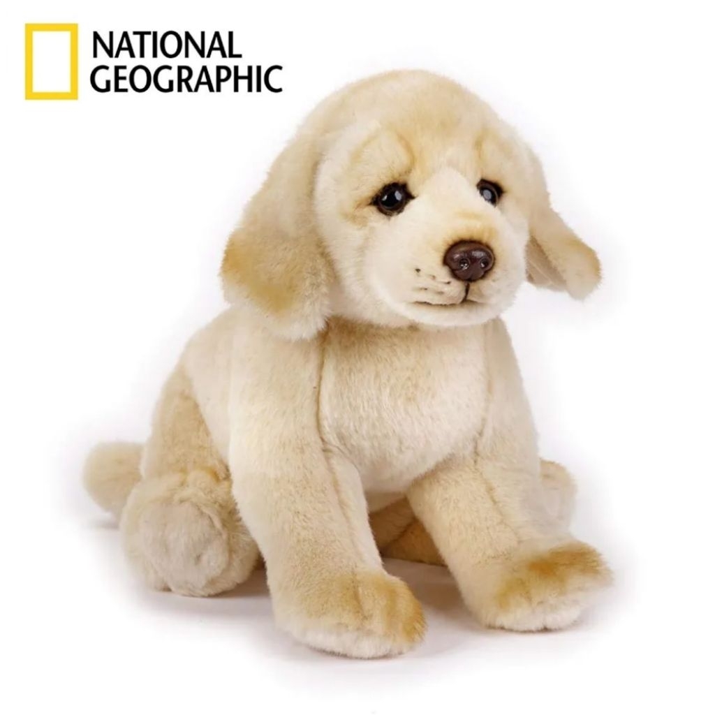 Boneka Anjing Labrador Import Original NATIONAL GEOGRAPHIC Dog Golden Retriever Doggy Puppy PL Secon