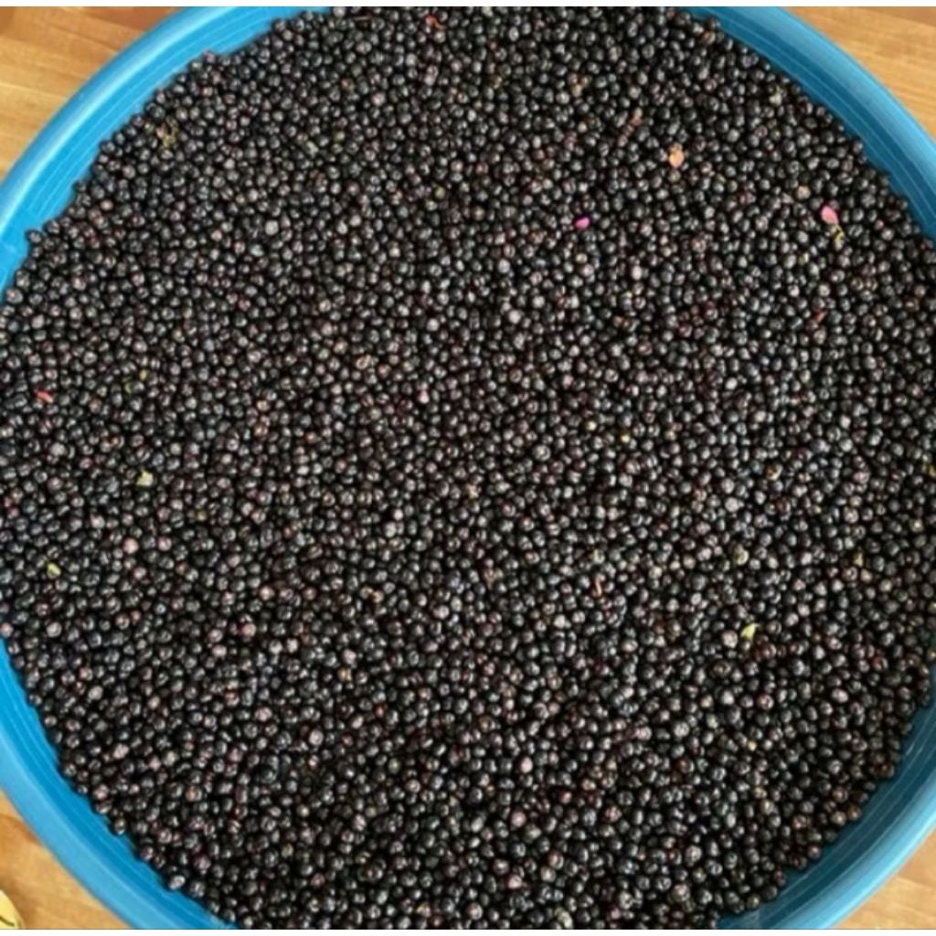 

buah angkung segar herbal 200 biji langka bonus 30