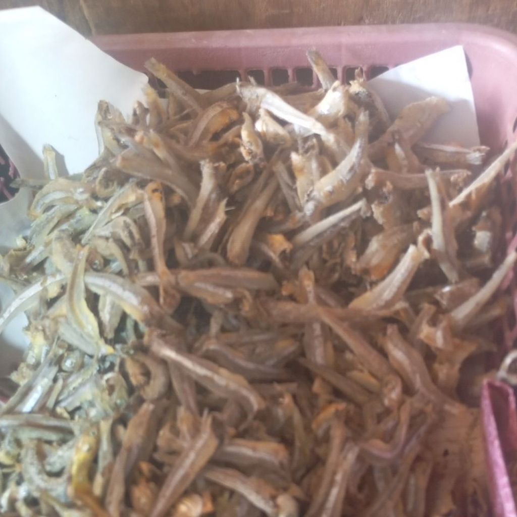 

ikan teri ikan kering