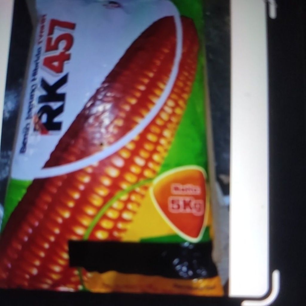 benih jagung hibrida RK457 5kg
