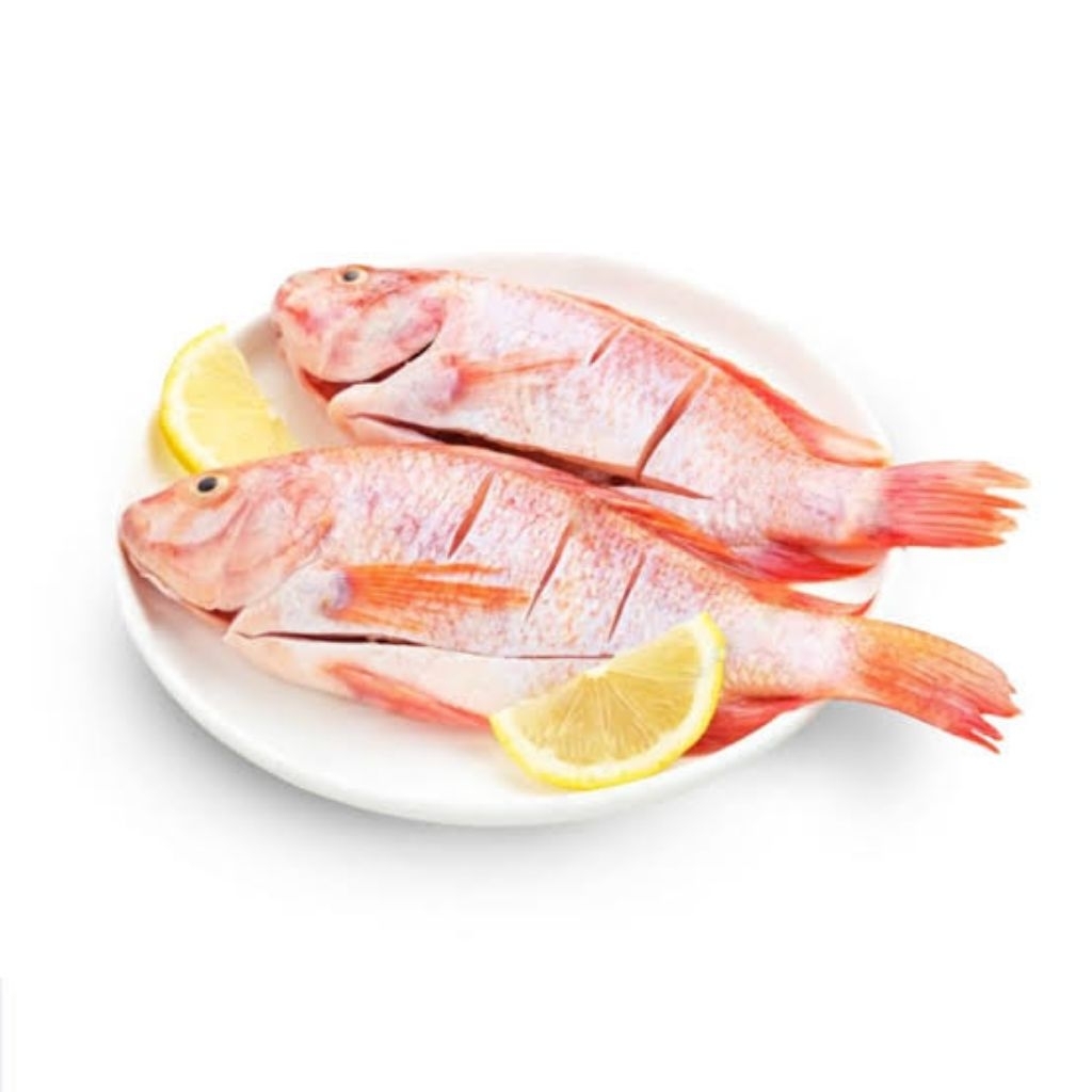 

Ikan Nila Merah Frozen 1/2kg