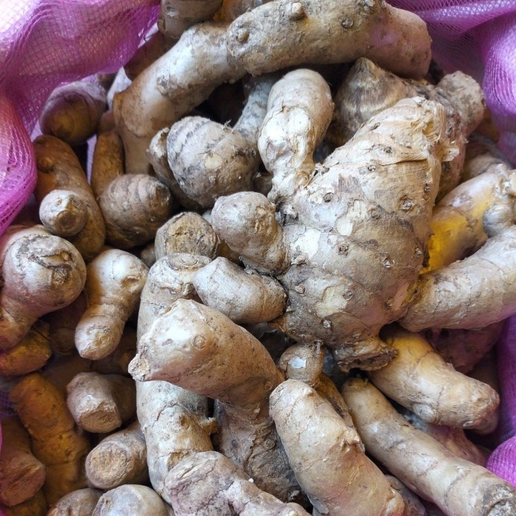 KUNYIT PUTIH / bumbu dapur /pasar online/ pasar Makassar