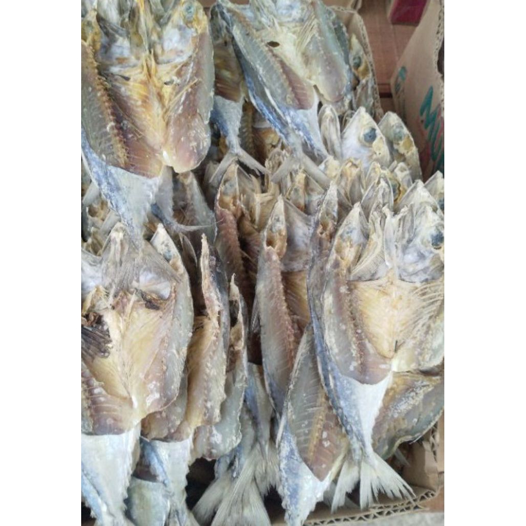 

Ikan Aso-aso 1kg