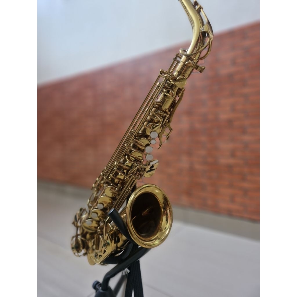 Saxophone Ludwig Alto LAS-275 by jsax