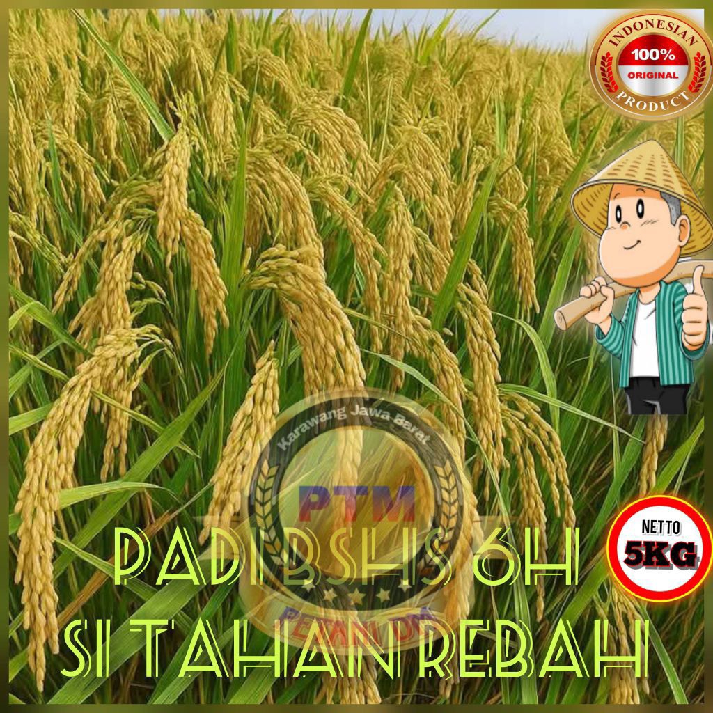 BENIH PADI BSHS 6H KEMASAN 1KG