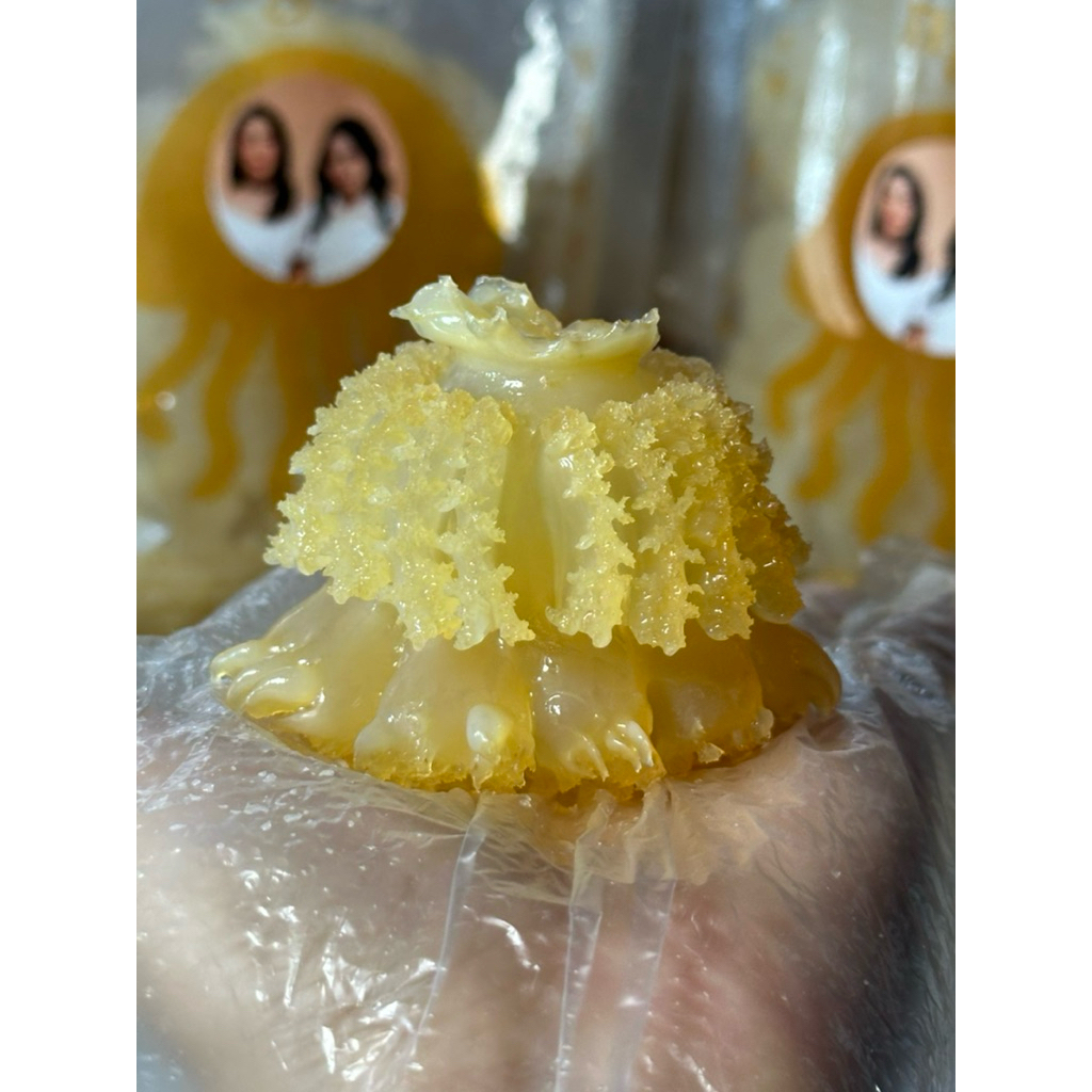 

PO Ubur-Ubur Vietnam (Sứa đạn ngon)