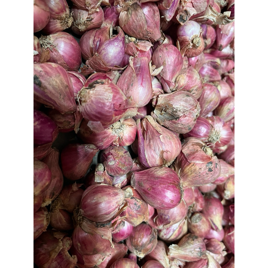 

Bawang merah size sedang kemasan 500gr