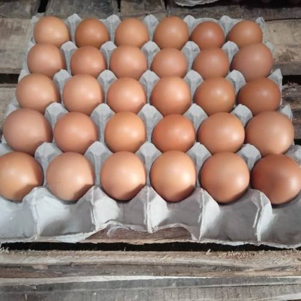 

Telur Ayam Sedang 1piring