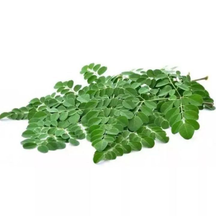 

Boskrokt - Daun Kelor Segar 100g Obat Herbal Fresh