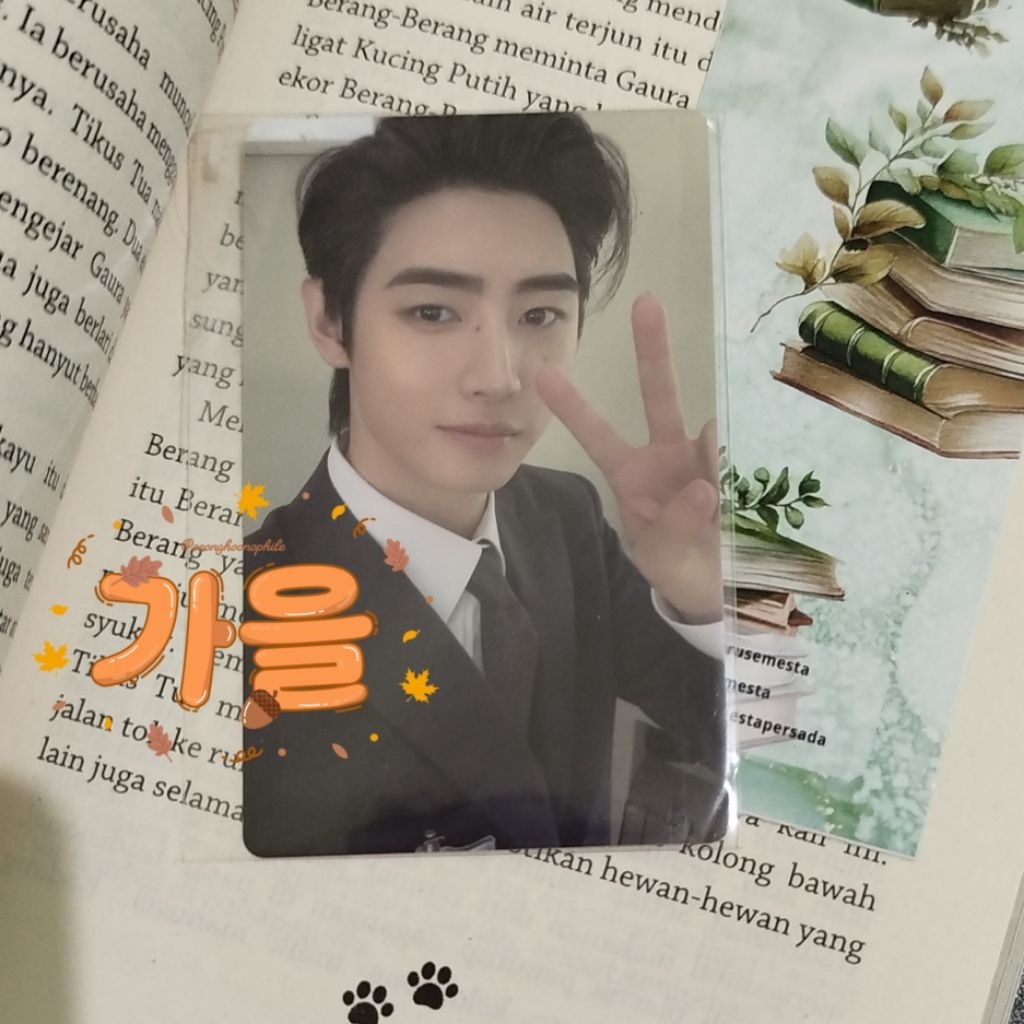 SUNGHOON ENHYPEN OFFICIAL PHOTOCARD POB POP-UP