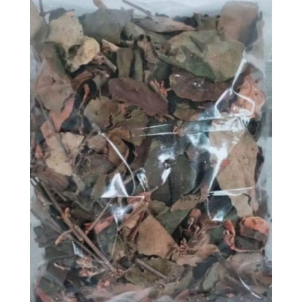 

benalu kering 500 gram