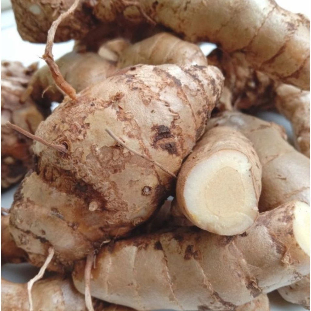 

Temu Mangga/Poh bersih fresh saat dikirim