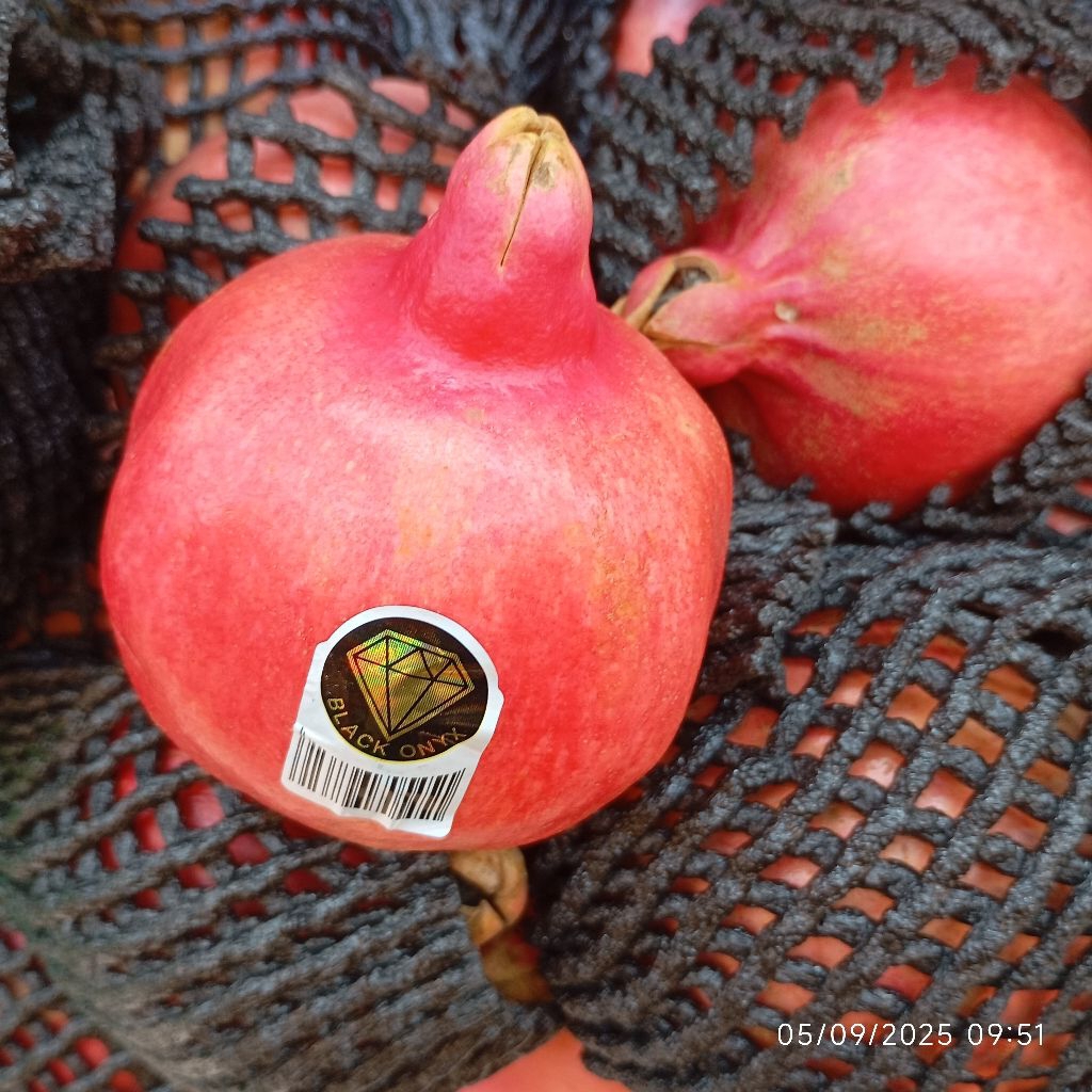 

Delima Import Buah Segar 1KG