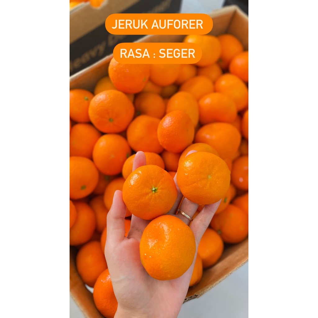 

Jeruk auforer kecil ada biji