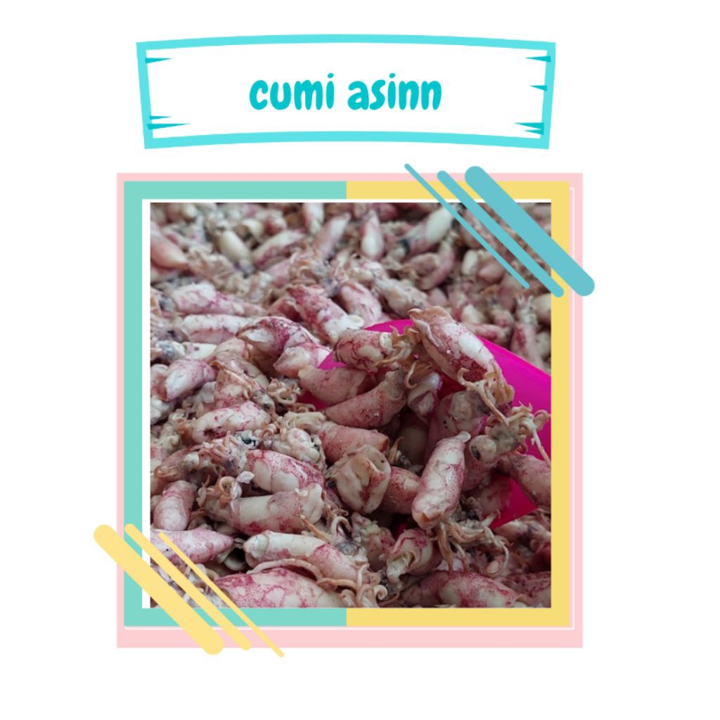 

baby cumi asinn 1kg