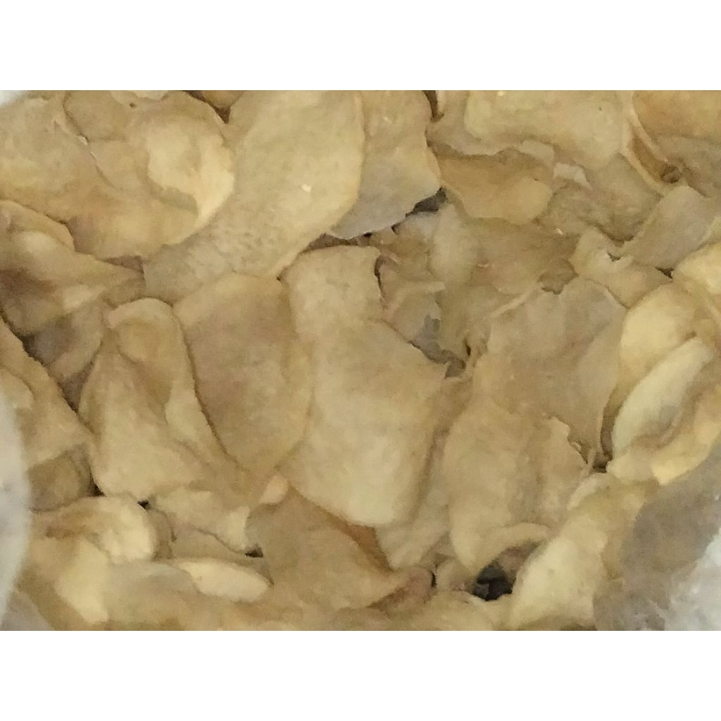 

kerupukgadung mentah