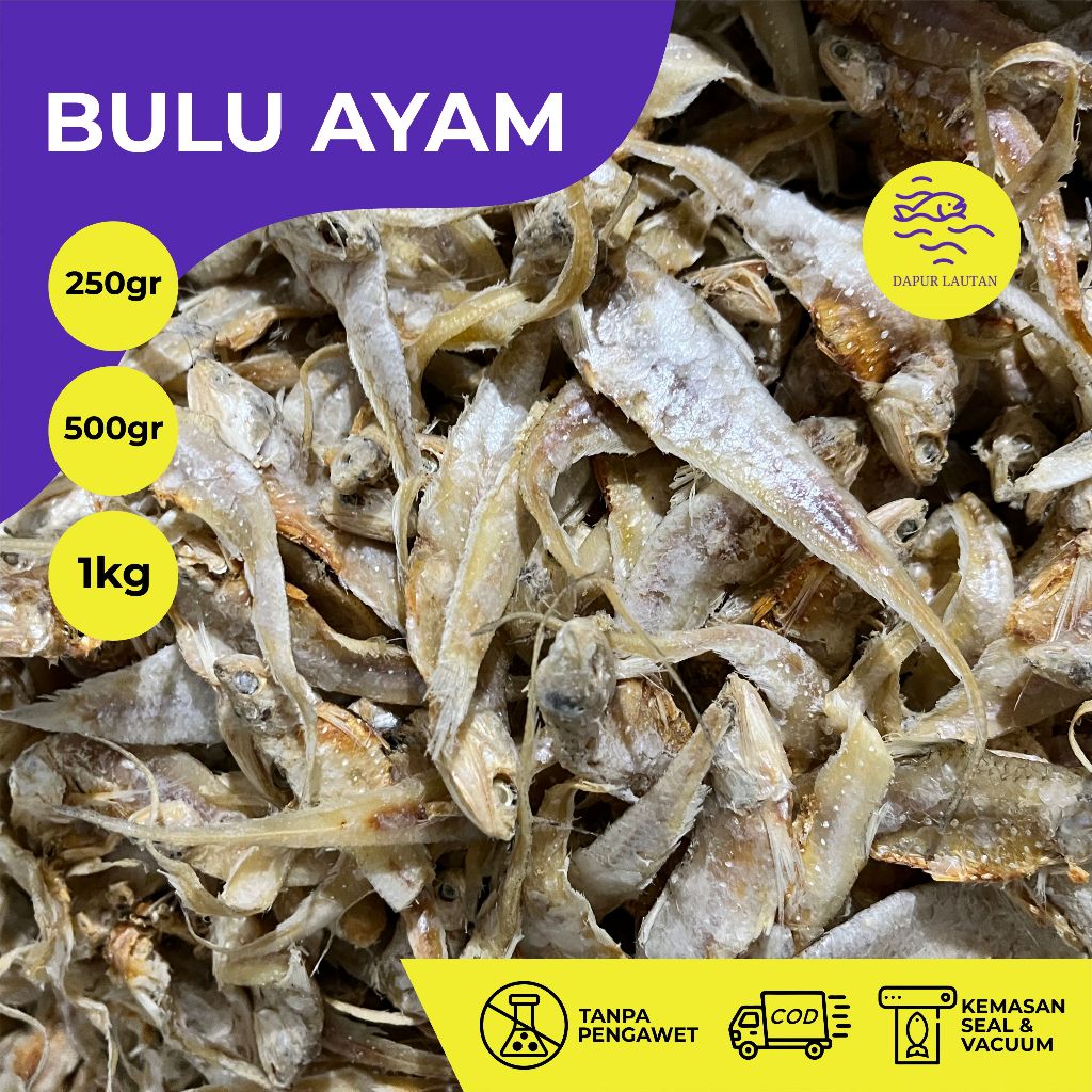 

Ikan Bulu Ayam Asin Berat 250 gram, 500 gram & 1 kg