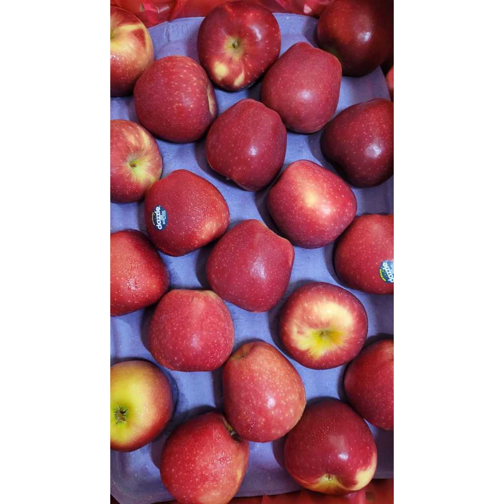 

Apel Dazzle New Zealand apel import manis garing 1kg